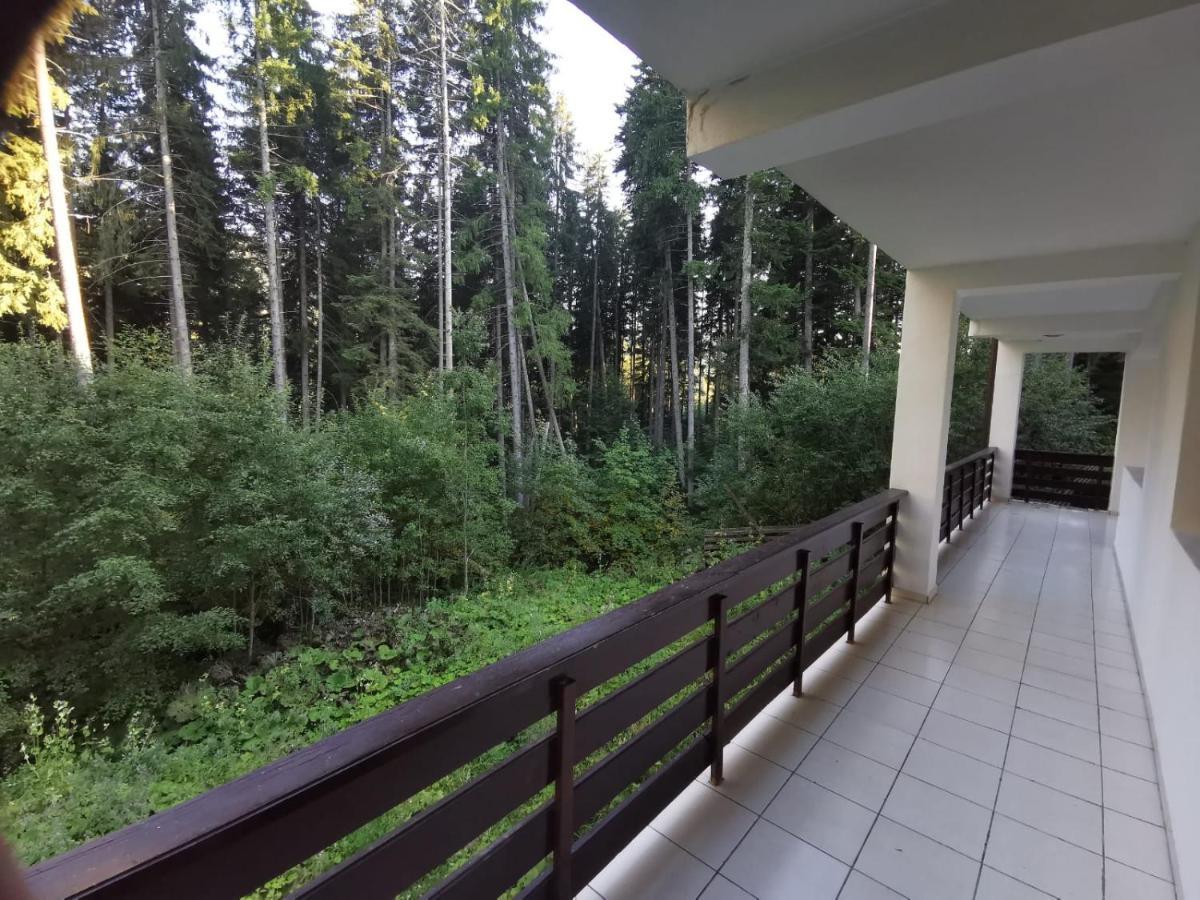 Residence Two Predeal Zewnętrze zdjęcie